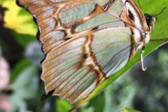 img00088
