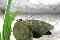 img00090