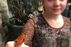 img00095