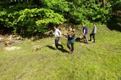img00026