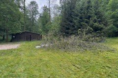 img00012