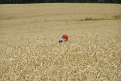 img00041