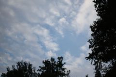 IMG_0361