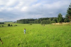 img00043