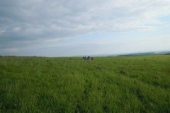 img00046