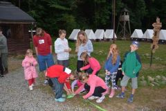 bdsc_3937