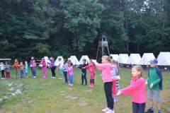 bdsc_3947