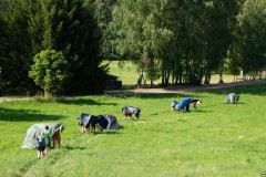 img00048