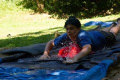 img00079